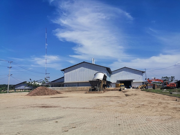 Cassava processing plant cost of setting up analyze