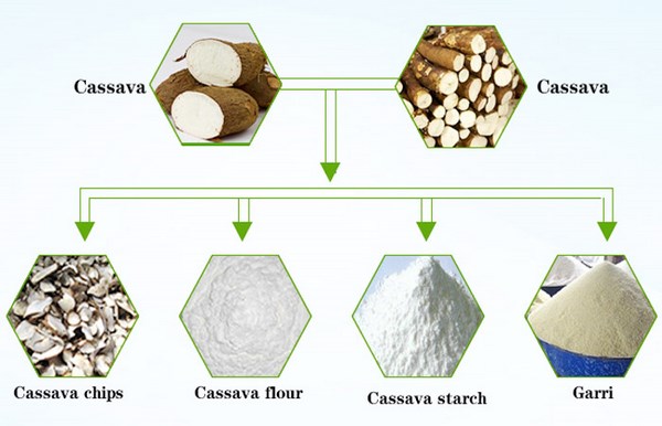 cassava processing