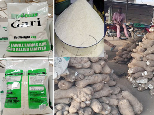 Mechanical garri processing is promising in Nigeria