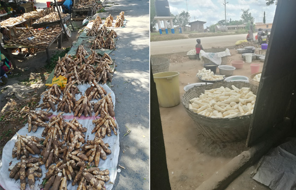 cassava peeling machine in Ghana
