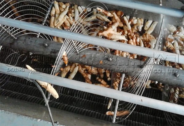 cassava peeling machine in Ghana