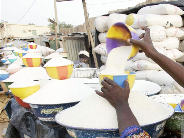 Garri processing and packaging technology in garri processing plant