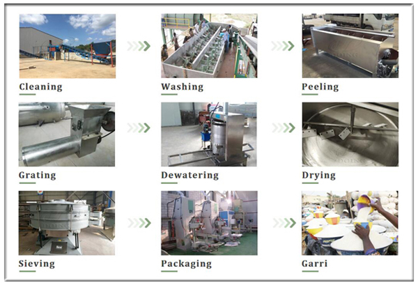 method of processing of cassava to garri