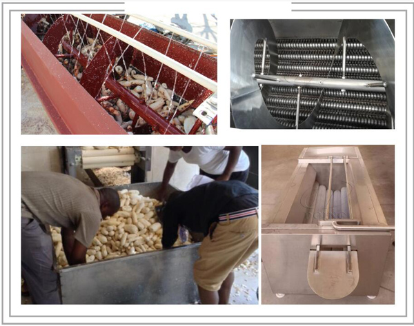 design and construction of a cassava peeling machine