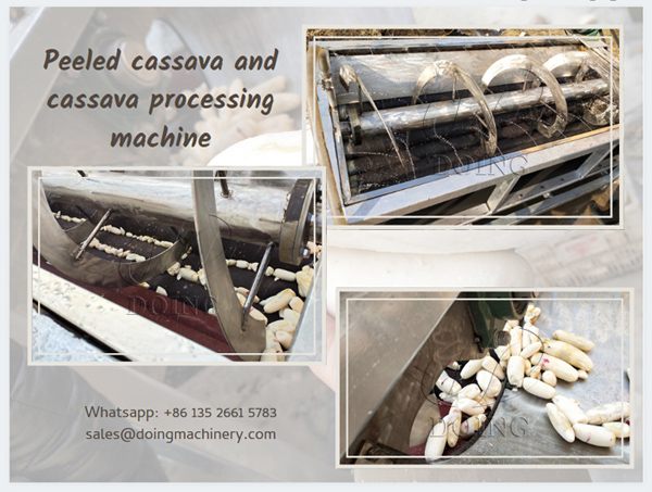 Cassava peeler machine