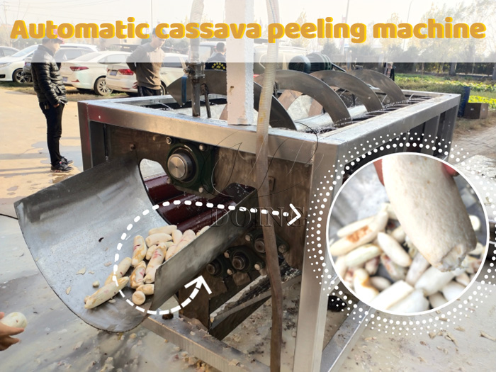 cassava peeling and washing machine