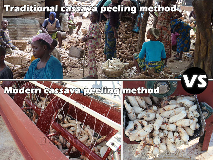 traditional cassava peeling method vs modern cassava peeling method