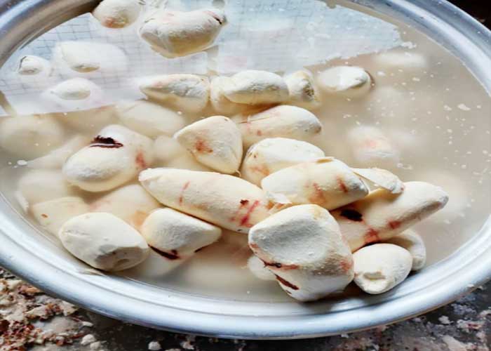 cleaning cassava root