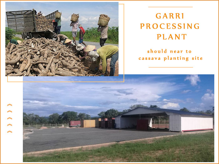 garri processing plant