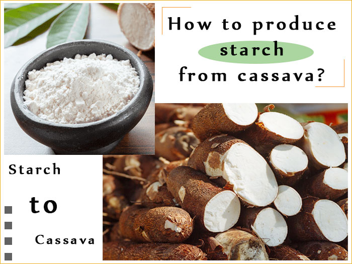 How to produce starch from cassava?