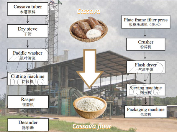 What machine is used in cassava flour making?What are the processing steps of cassava flour making?