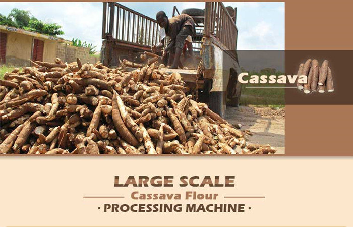 What are the purchase schemes for cassava flour processing equipment that suitable for different processing scales?