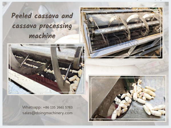 A Congo customer purchased a cassava peeling machine again!