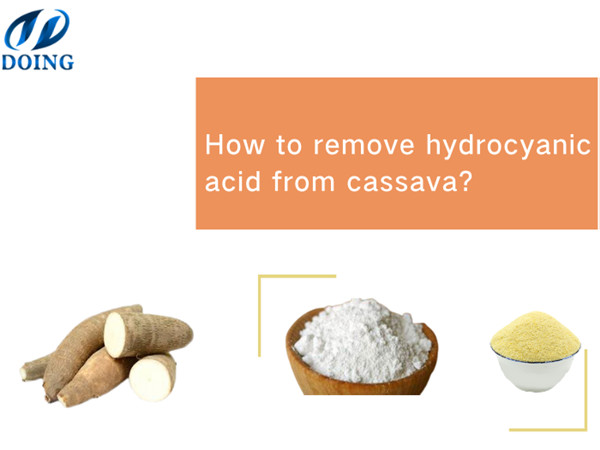 How to remove hydrocyanic acid from cassava?