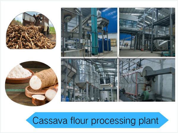 Key points for building cassava flour processing plant