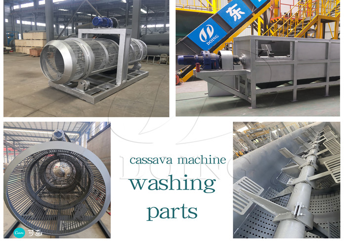 cassava washing machine