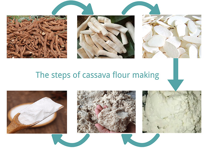 the steps of cassava flour making