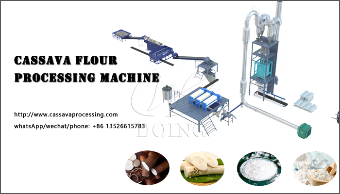 Cassava flour processing machine