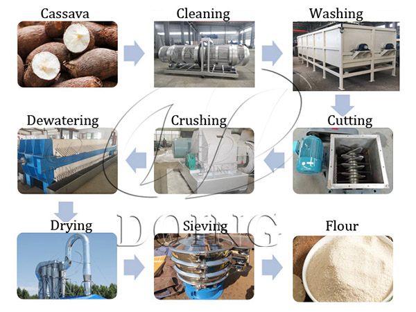 What are the steps of cassava flour processing line?