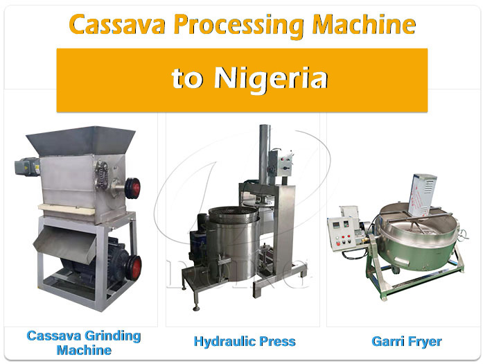 Garri processing section and drying section