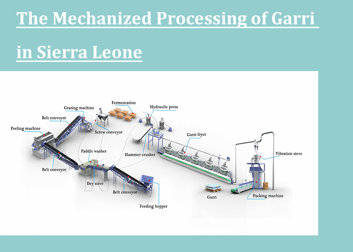 the mechanized processing of garri in sierra leone