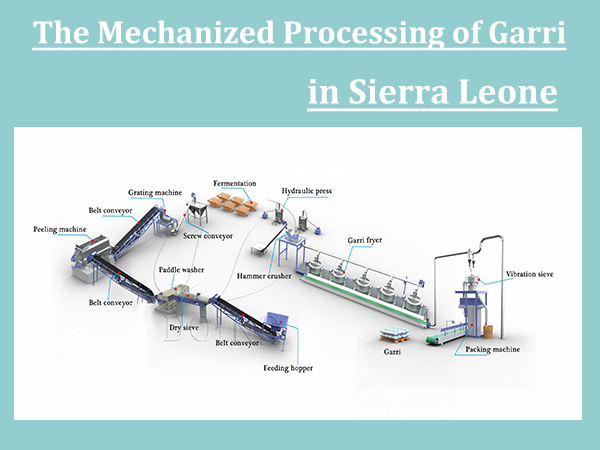 The mechanized processing of garri in Sierra Leone