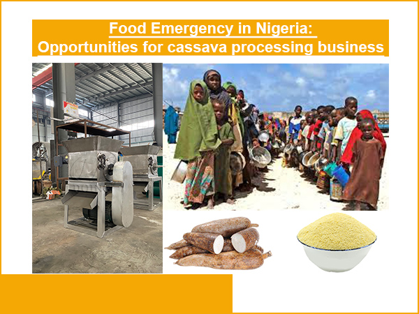 Opportunities for cassava processing business in the food emergency in Nigeria
