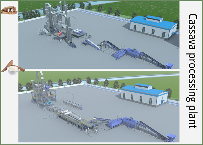 cassava processing lines