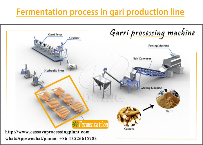 fermentation process in gari production line