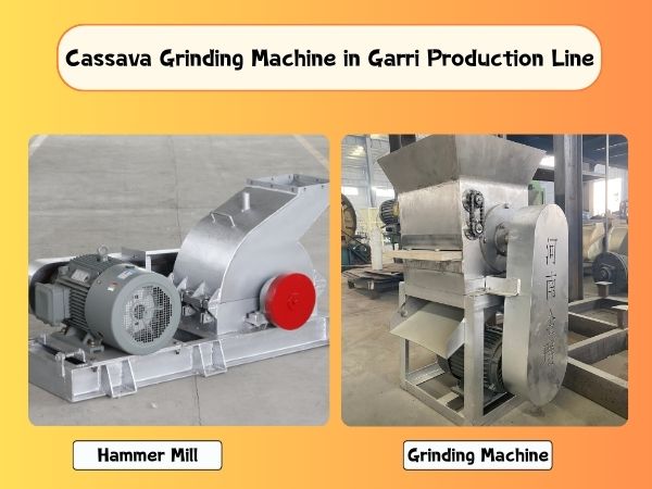 Cassava Grinding Machine in Garri Production Line: Common Capacities & Prices Introduction