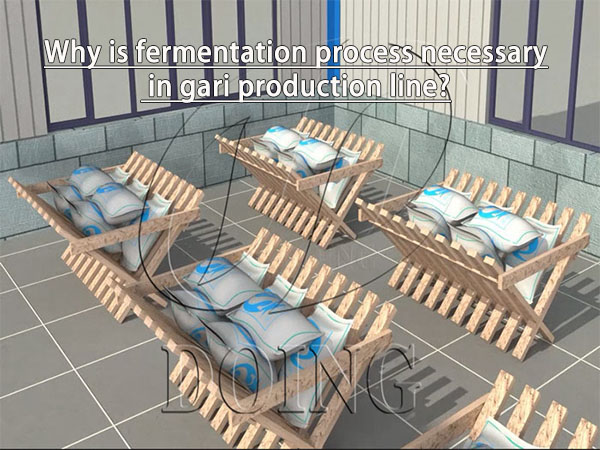 Why is the fermentation process necessary in gari production line?