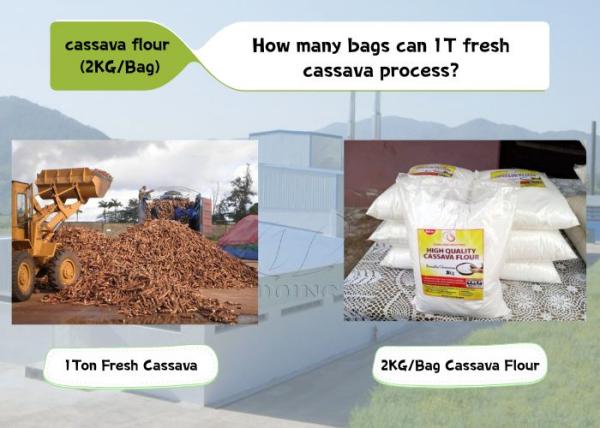 How Many Bags of Cassava Flour Can One Ton of Fresh Cassava Process? (2kg/Bag as Example)