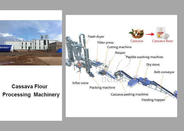 cassava processing plant
