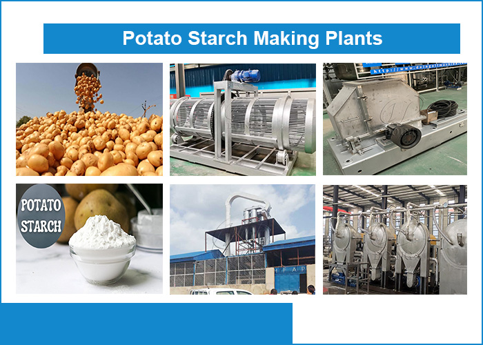 potato starch extration