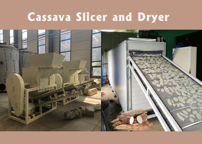 cassava slicer and dryer 