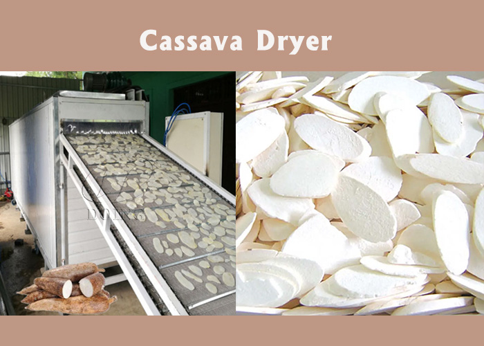 cassava dryer
