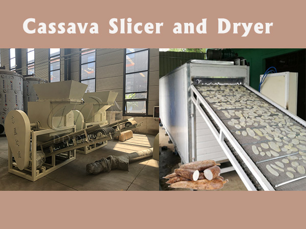 Industrial Cassava Slicer and Dryer Work Together to Produce Quality Chips