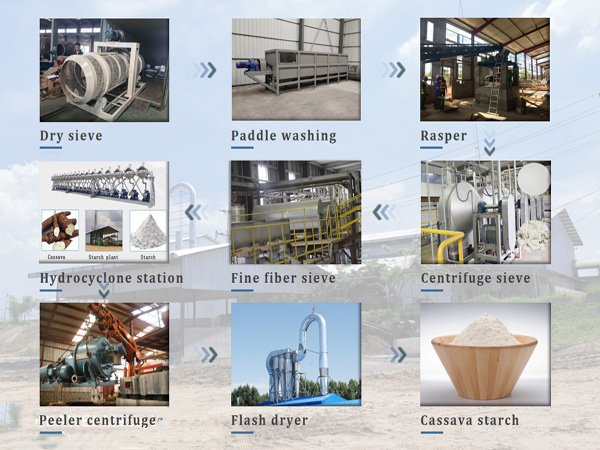 cassava starch processing plant 