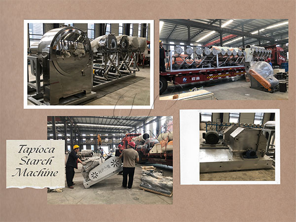 What is the estimated payback period for investing in a cassava starch production line?