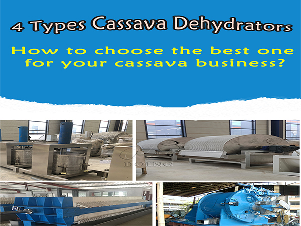 Selecting Industrial Dehydration Equipment for Cassava Processing Plants