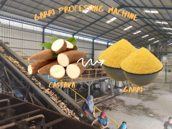 How to Start a Small-Scale Garri Processing Facility in Ghana?