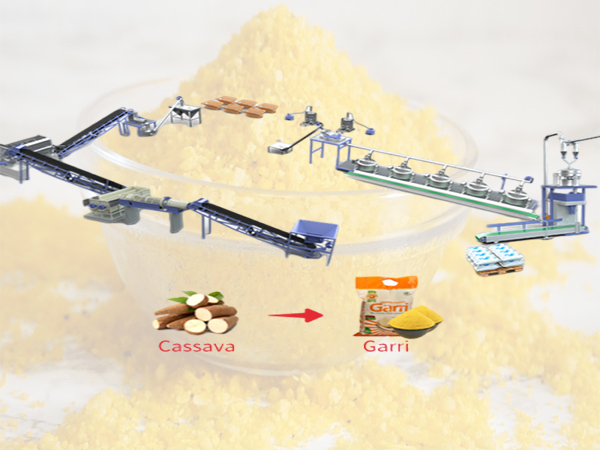 10TPD Fully Automated Garri Making Line Solutions for Nigerian Market