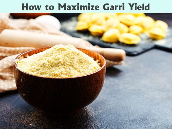 Why Poor Garri Processing Ruins Export Opportunities – And How to Fix It