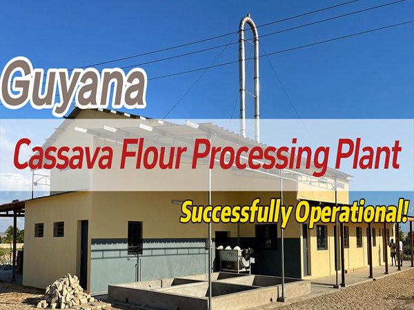Semi-Automatic Cassava Flour Production Line Trial Run in South America