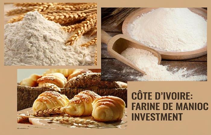 cassava flour processing