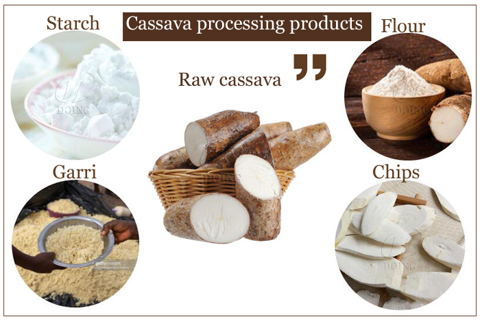 cassava productions