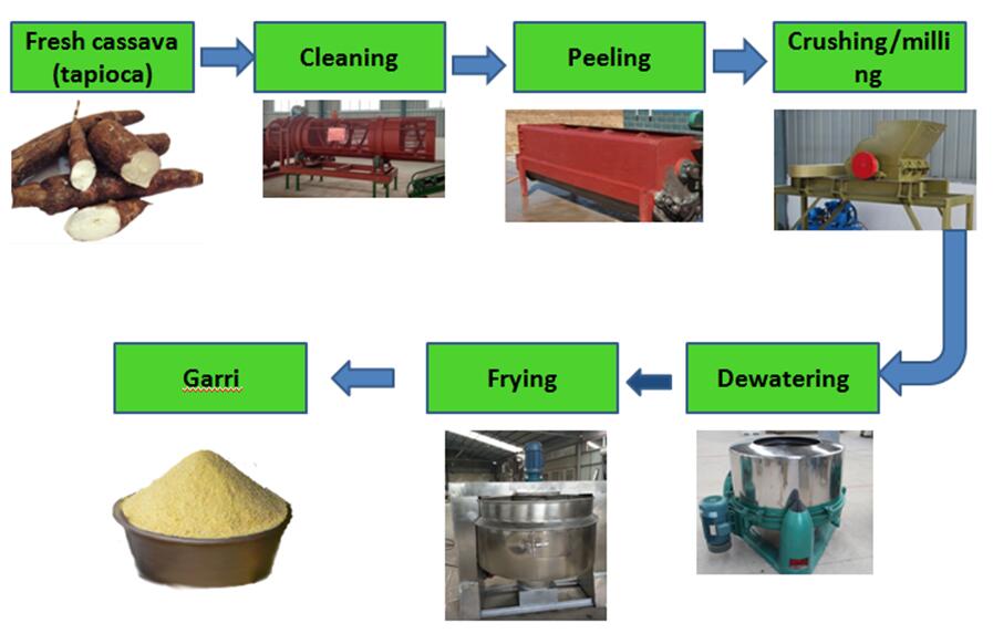Production of garri from cassava