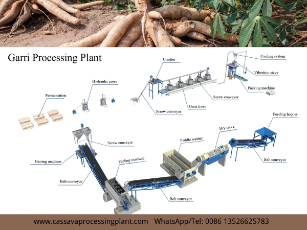 Ghananian Customer purchased one 2T per day garri processing machine from Henan Jinrui company