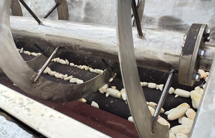 cassava peeling equipment is working